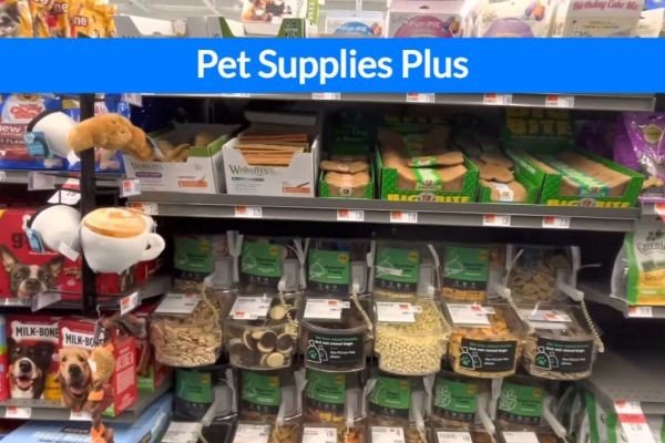 7 Essential Puppy Products You Need From Pet Supplies Plus