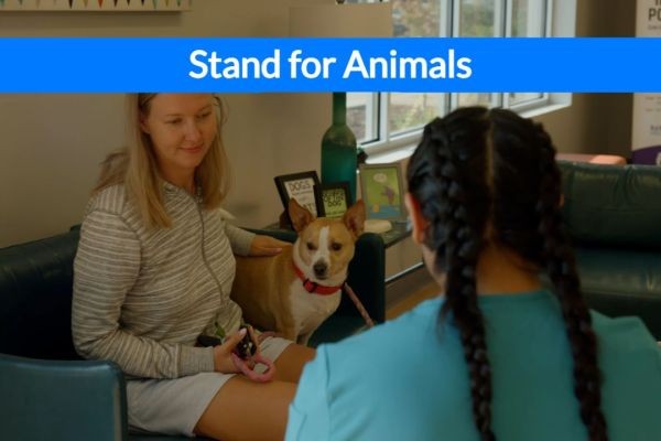 Standing for Animals: What Does It Mean Today?