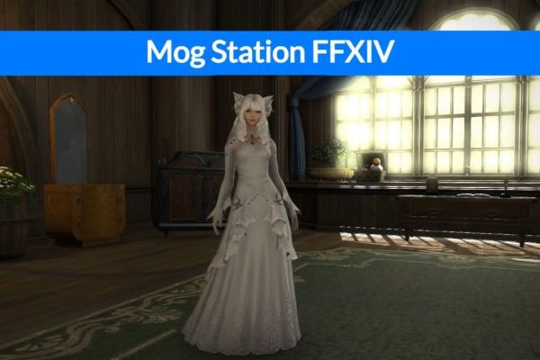 Enhancing Your Final Fantasy XIV Experience With Mogstation - How Does It Work?