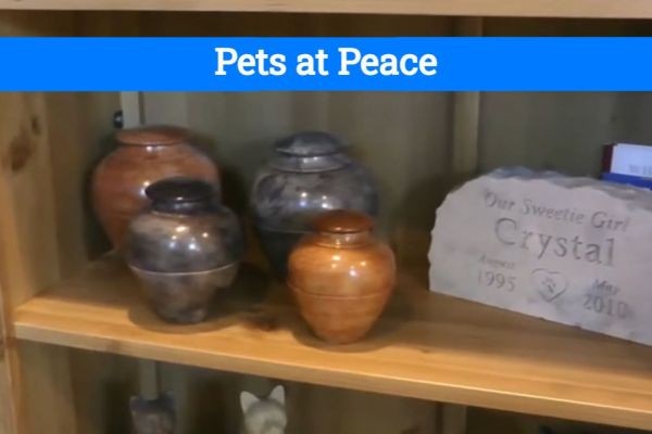 How Does Pets at Peace Offer Services for Deceased Pets?