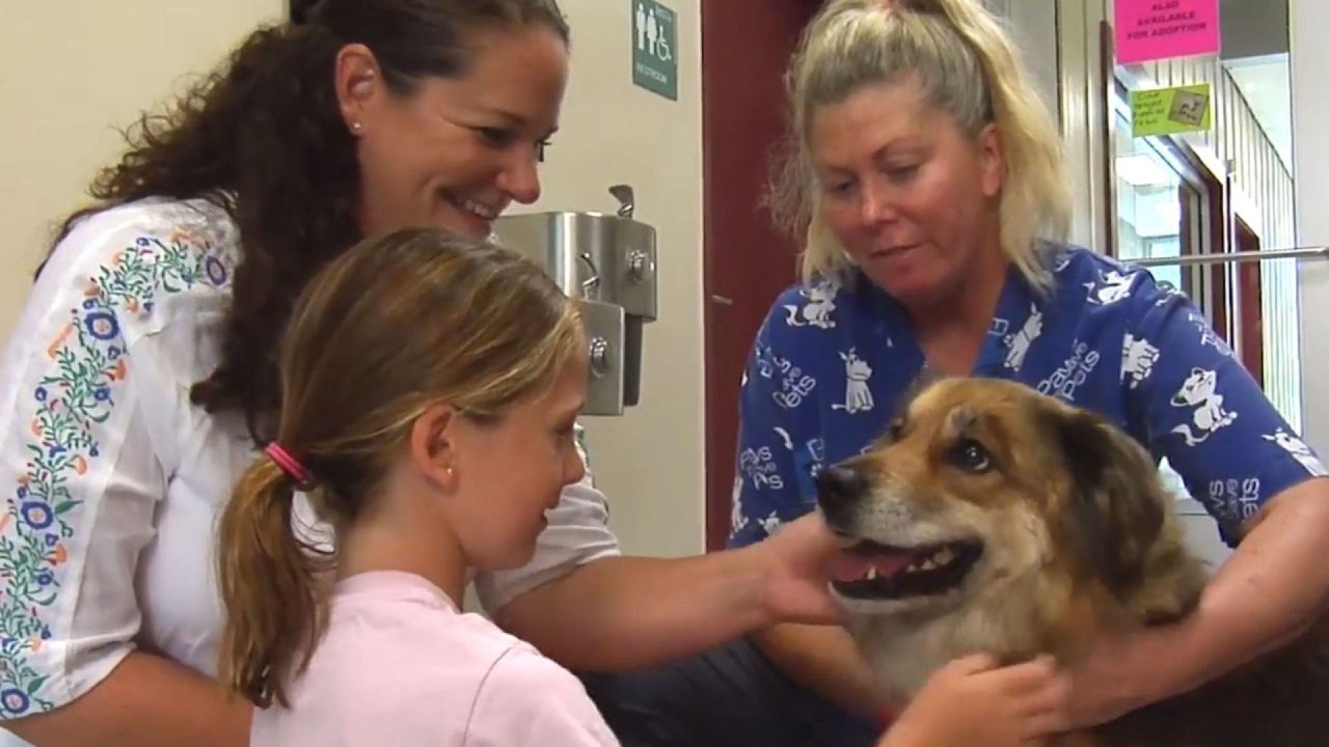 For Pets' Sake: Discover Edmond Animal Shelter