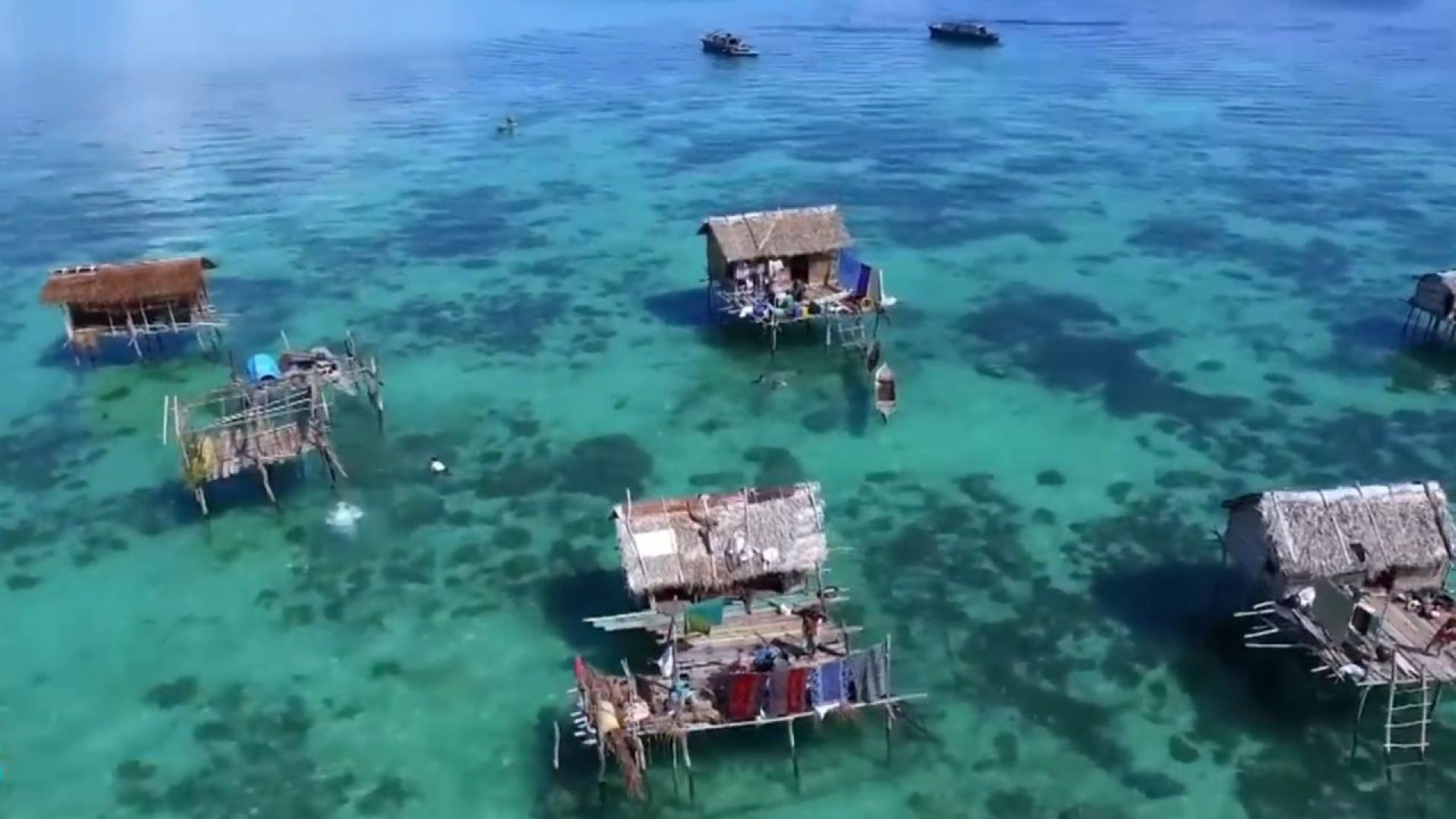 Unveiling the Mysteries of the Bajau People