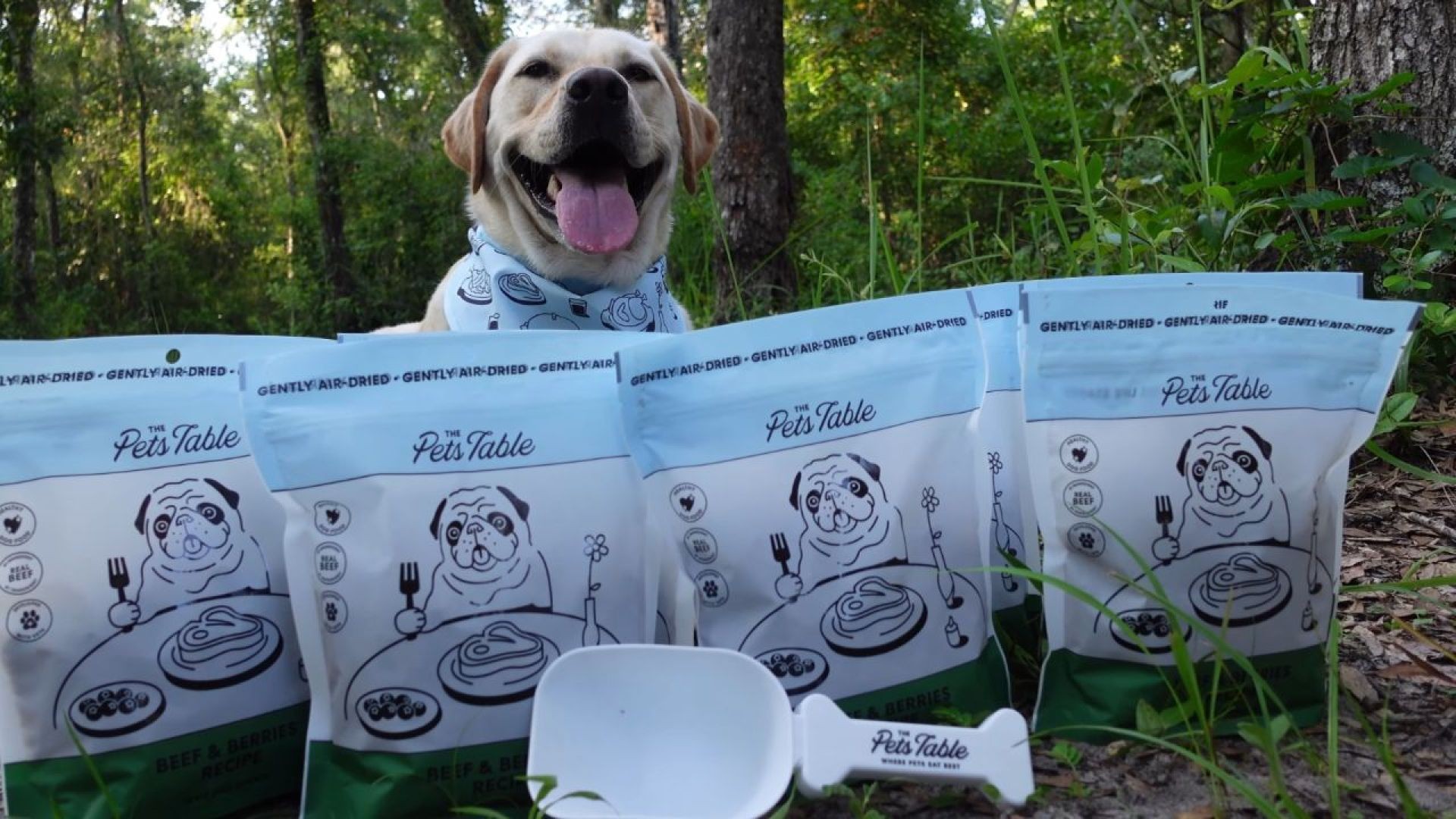 Discover The Pets Table Dog Food!