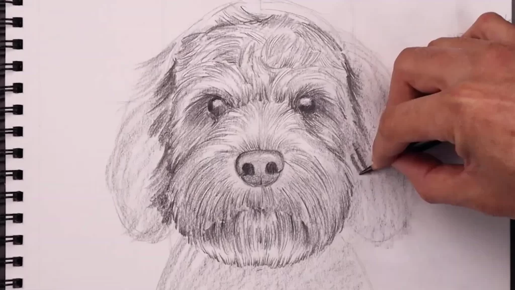 how to draw a dog​