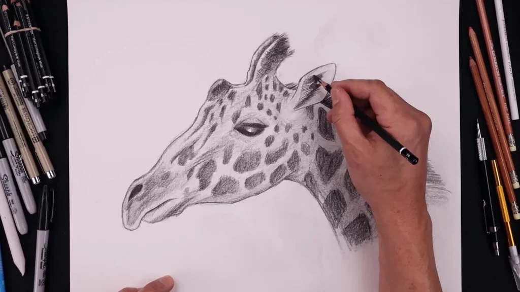 how to draw a giraffe