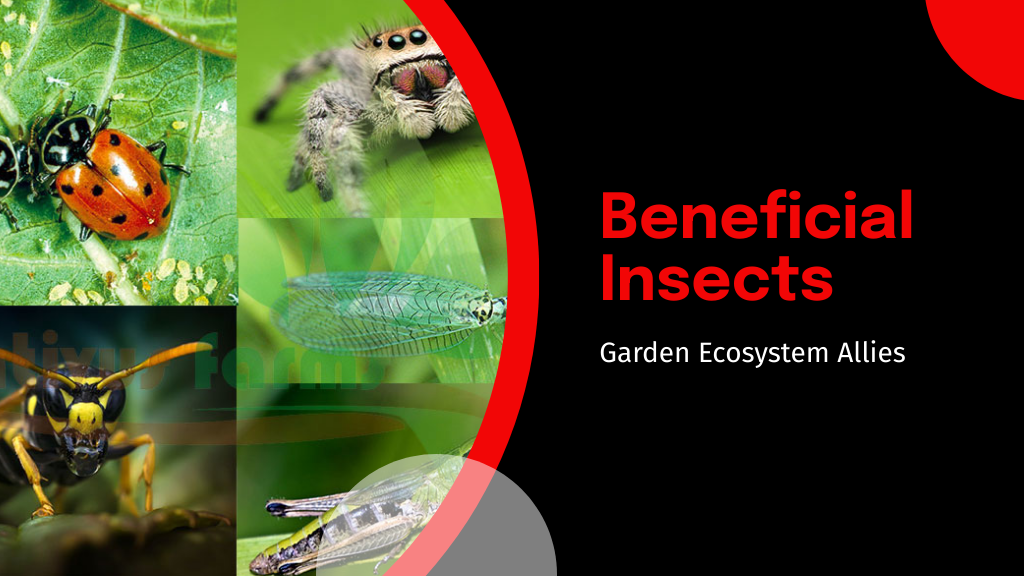 Beneficial Insects