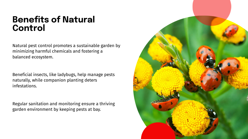 Benefits of Natural Control