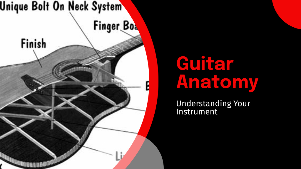 Guitar Anatomy