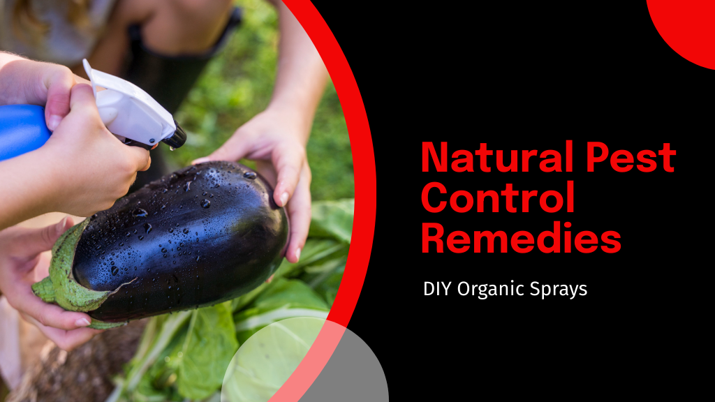 Natural Pest Control Remedies