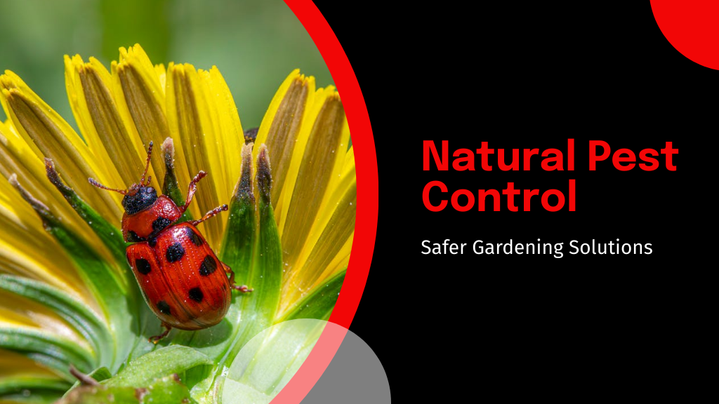 Natural Pest Control