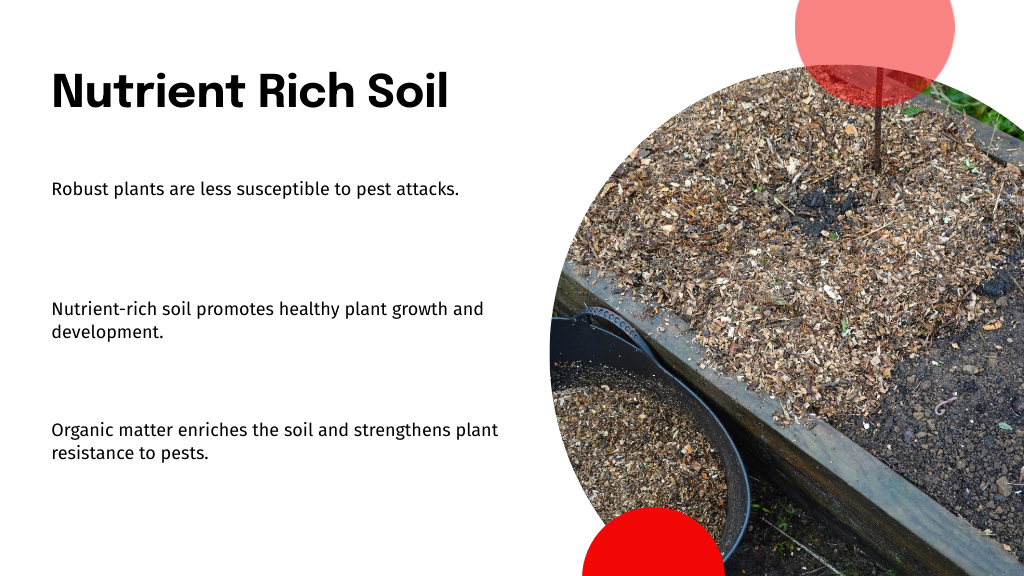 Nutrient Rich Soil