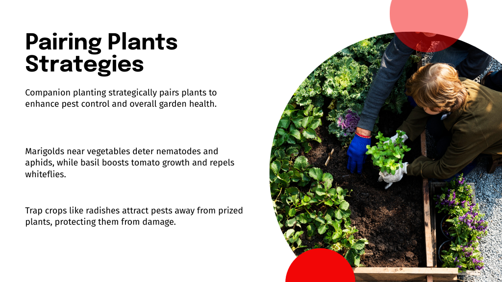 Pairing Plants Strategies