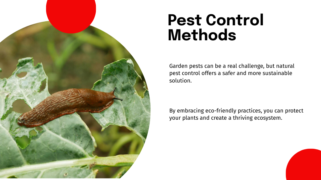 Pest Control Methods