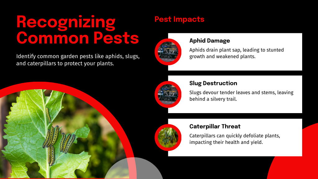 Recognizing Common Pests