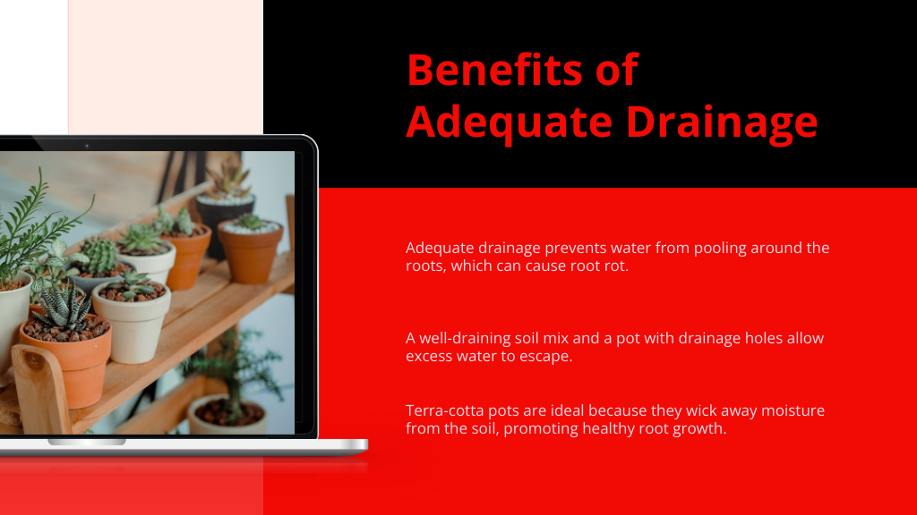 Benefits of Adequate Drainage