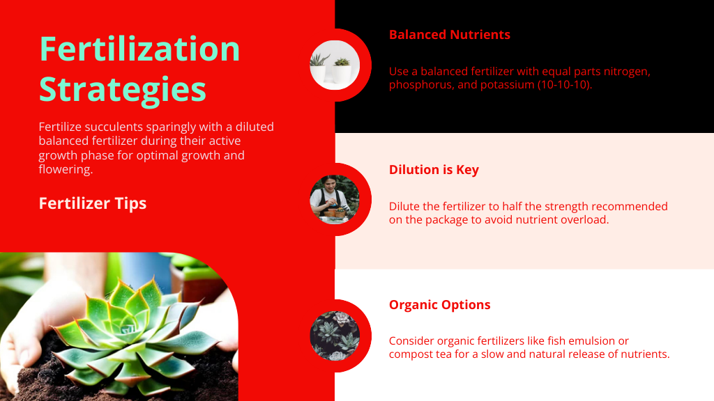 Fertilization Strategies