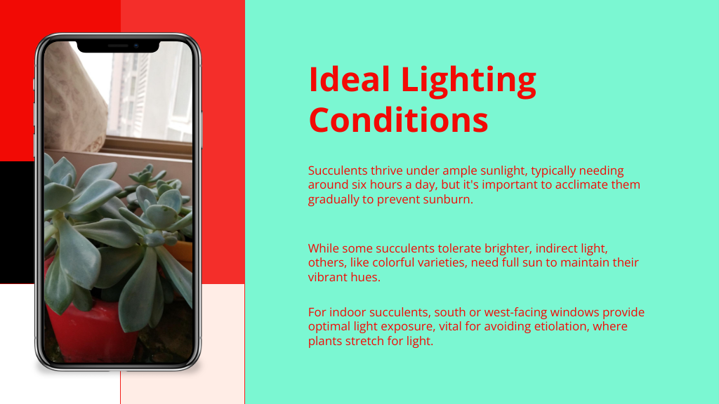 Ideal Lighting Conditions