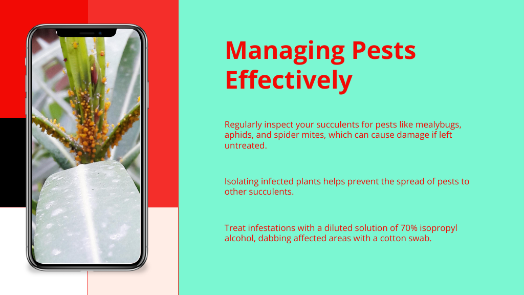 Managing Pests Effectively