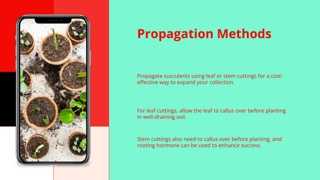 Propagation Methods