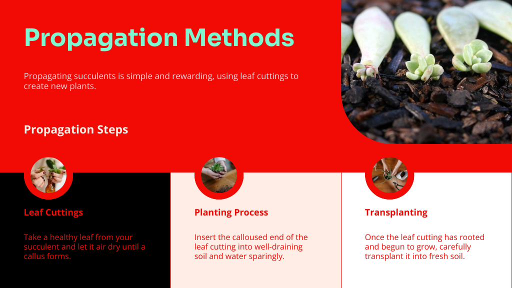 Propagation Methods