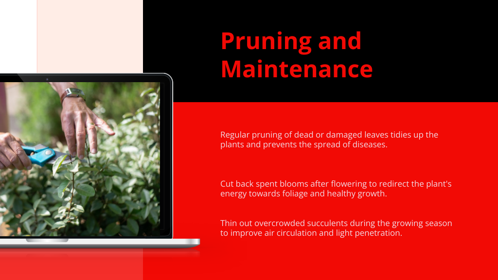 Pruning and Maintenance