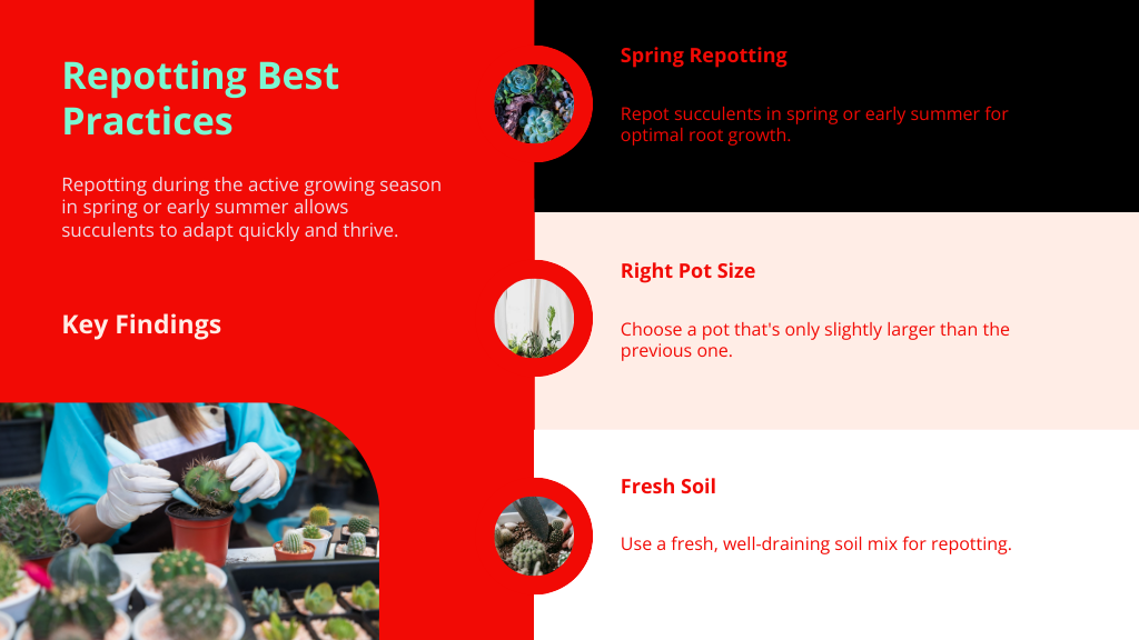 Repotting Best Practices