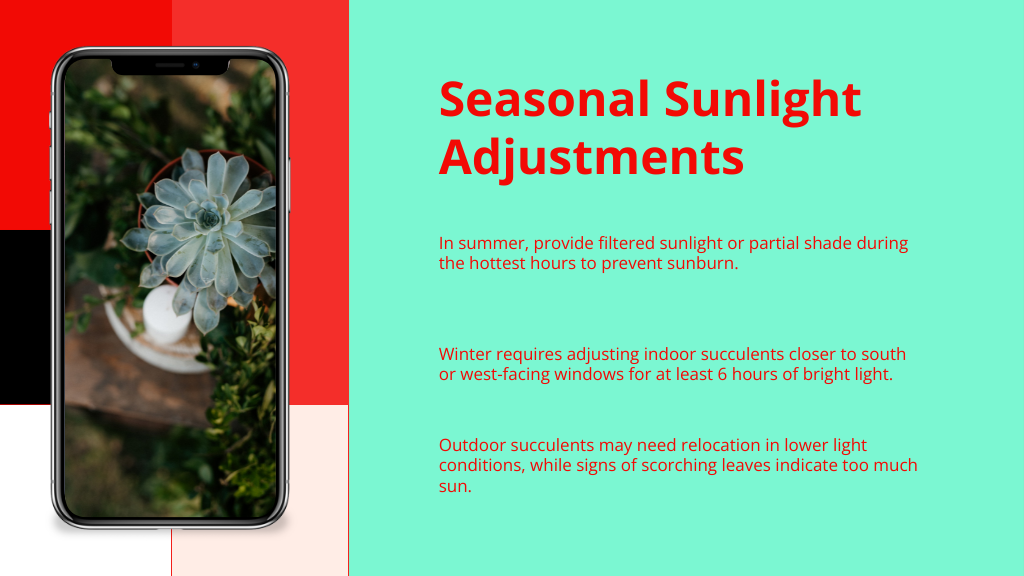 Seasonal Sunlight Adjustments