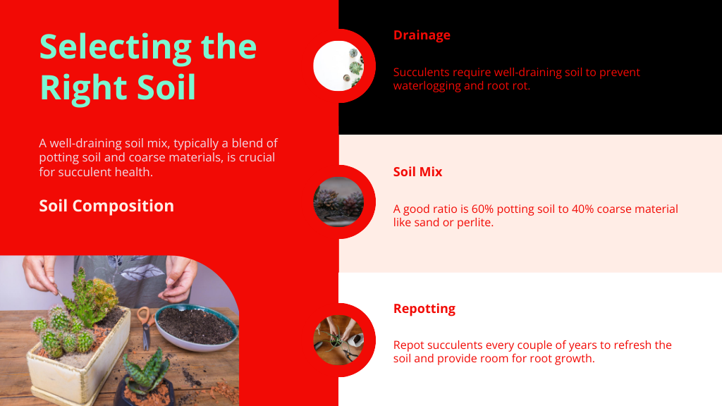 Selecting the Right Soil