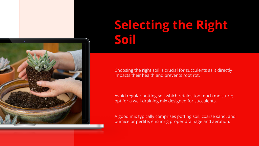 Selecting the Right Soil