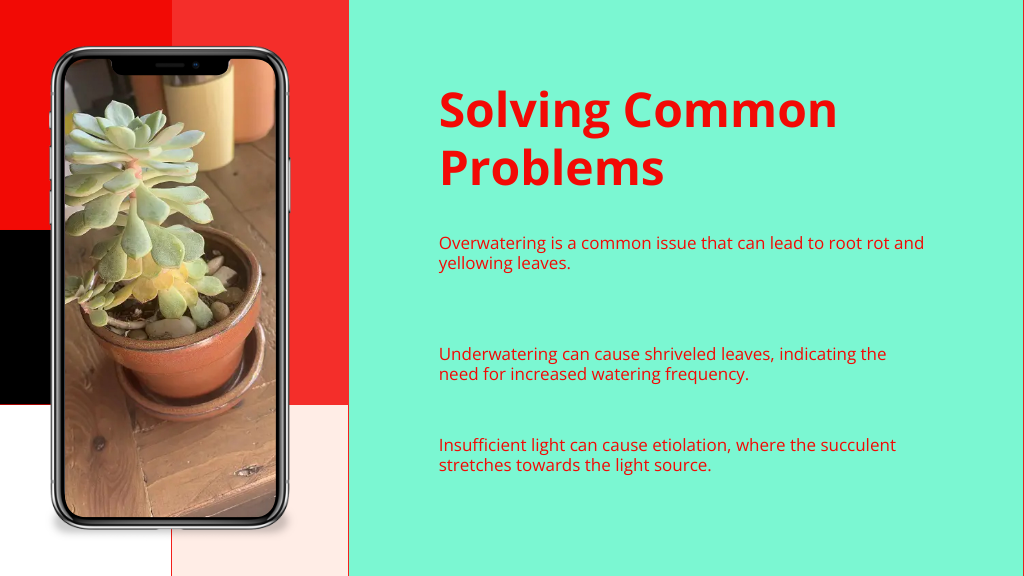 Solving Common Problems