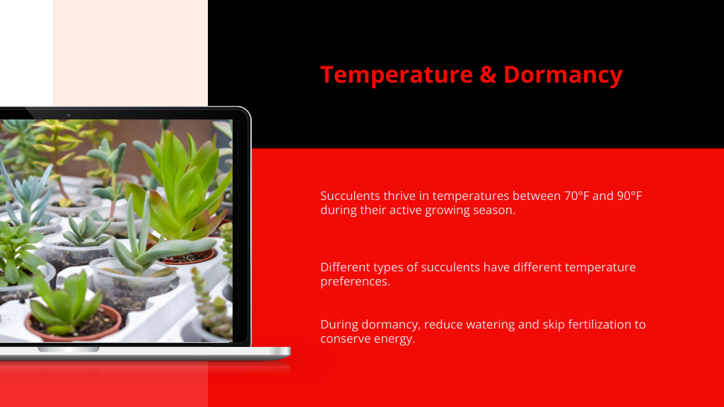 Temperature Dormancy