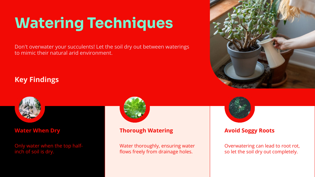 Watering Techniques