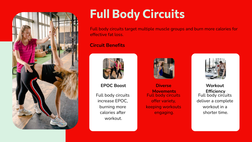 Full Body Circuits